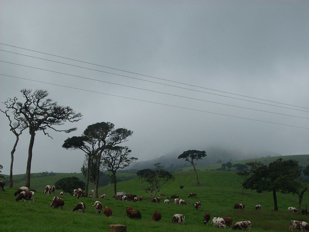Нувара Элия, Шри-Ланка, фото № 52090 – фотографии Шри-Ланки