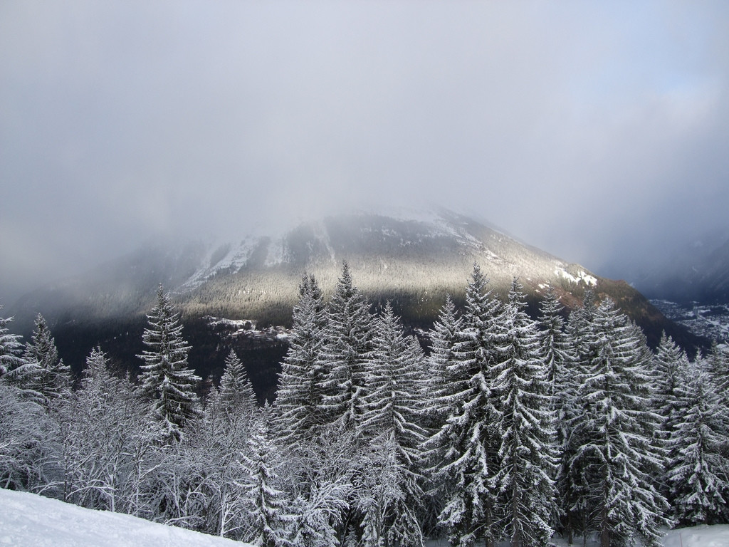 Природа в Лез-Уш, Франция. Фото 1 – фотографии Франции