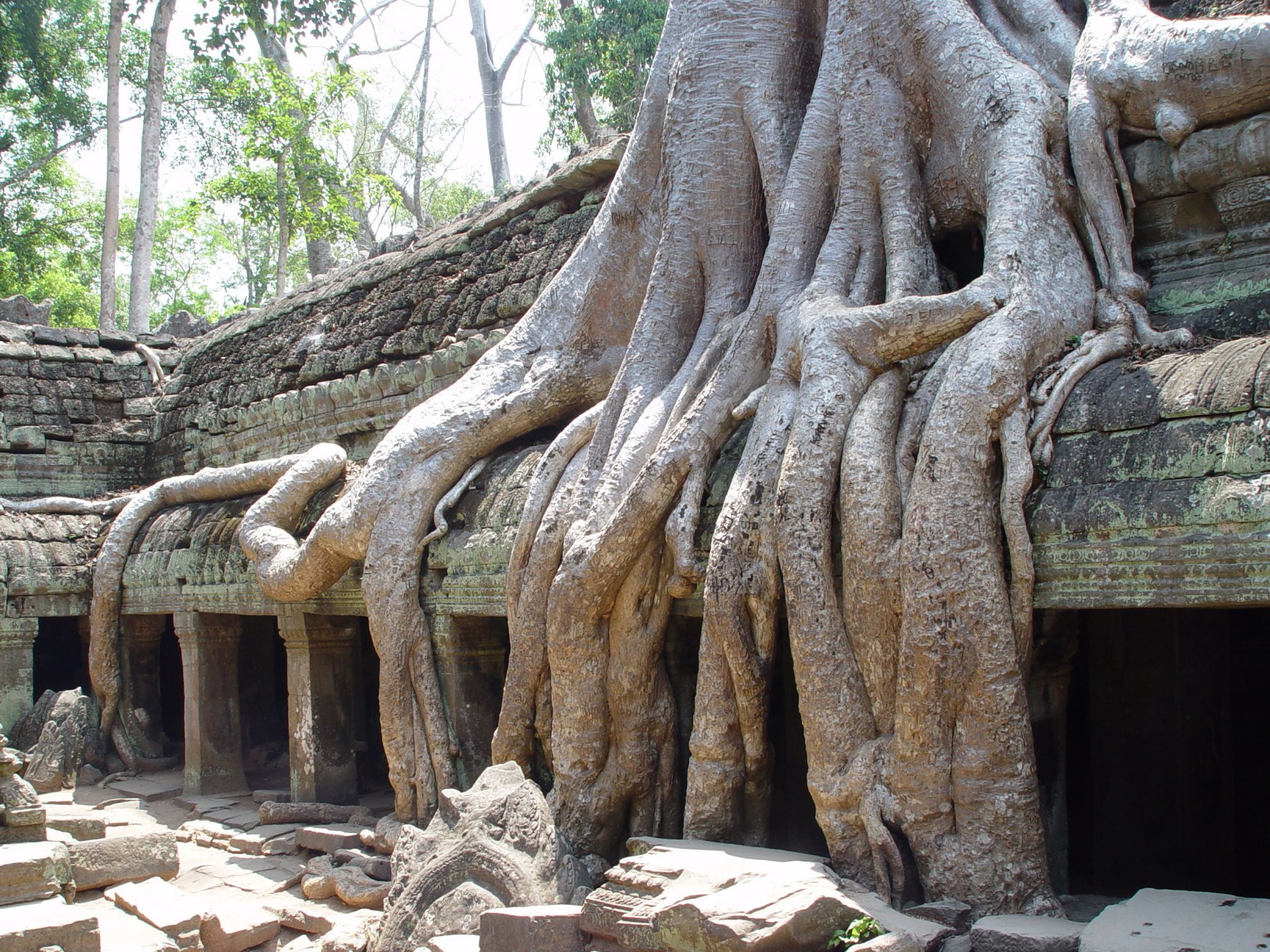 Ангкор-Ват (Angkor Wat) – фотографии Камбоджи
