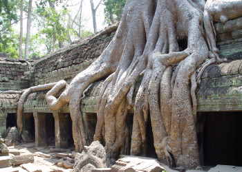 Ангкор-Ват (Angkor Wat) – фотографии Камбоджи