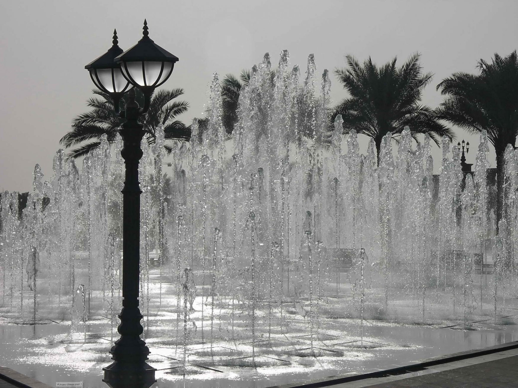 Абу-Даби, ОАЭ, фото № 60673 – фотографии ОАЭ