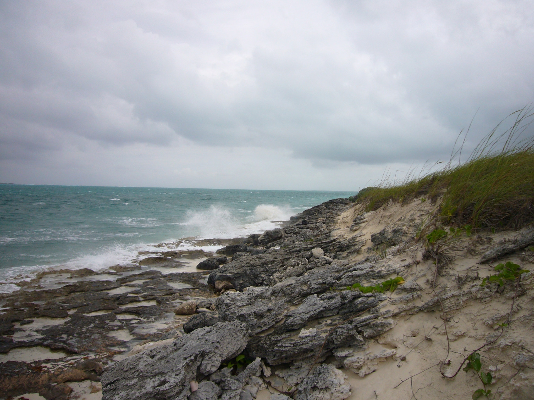 Берег острова Маягуана, Багамские острова. Фото 1 – фотографии Багамских островов