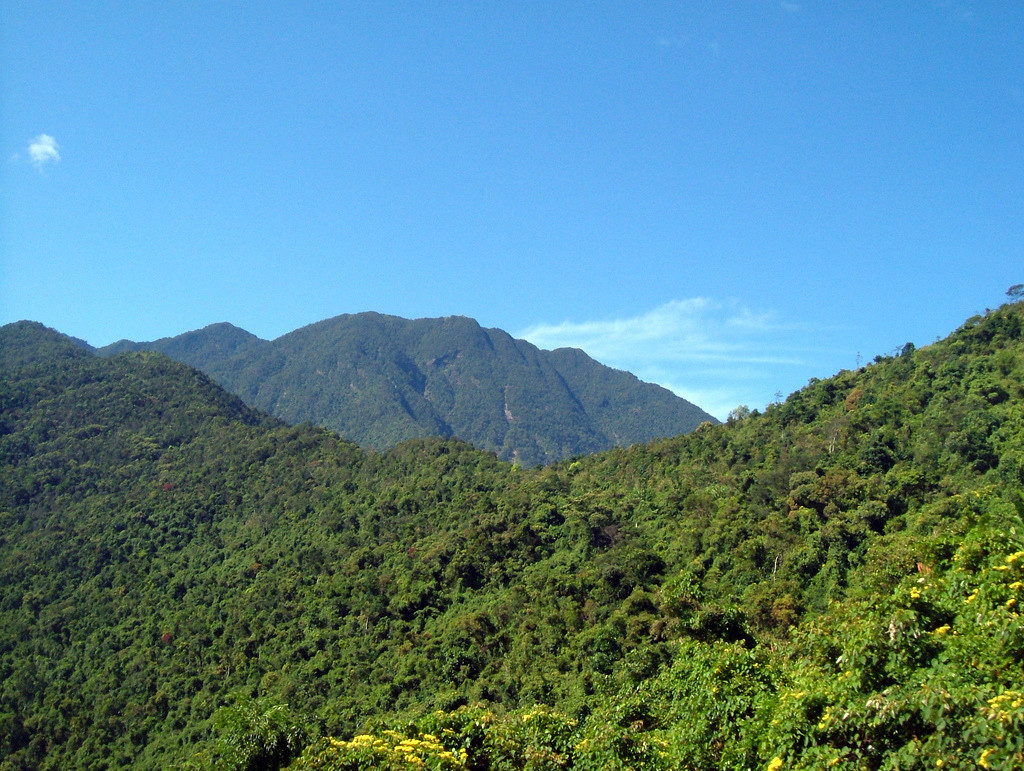 Национальный парк Батьма во Вьетаме – фотографии Вьетнама