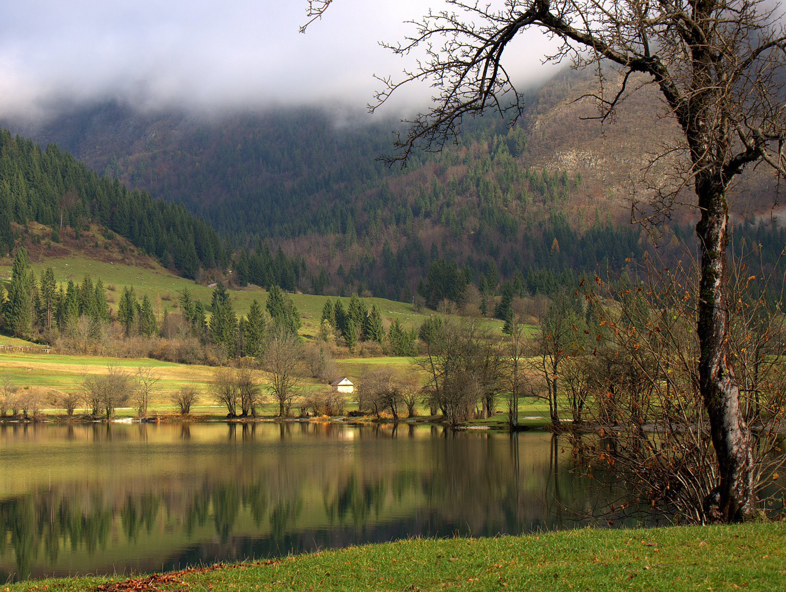 Бохинь Озеро, Словения, фото № 56934 – фотографии Словении