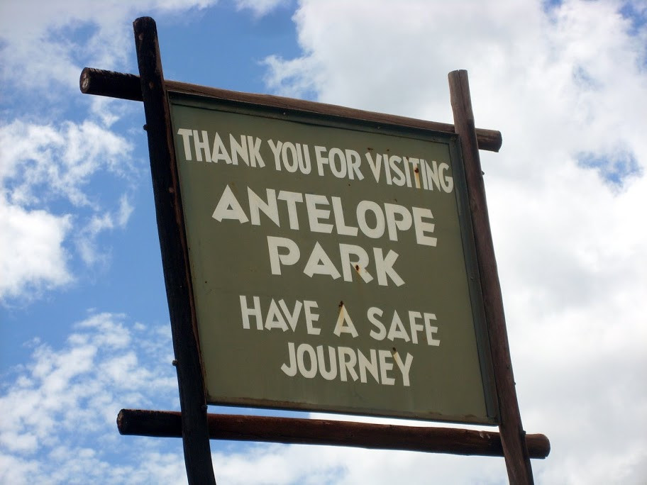 Парк Antelope в Зимбабве – фотографии Зимбабве