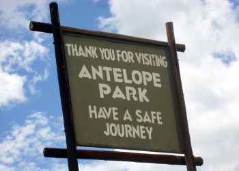 Парк Antelope в Зимбабве – фотографии Зимбабве