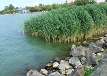 Lake Balaton – фотографии Венгрии