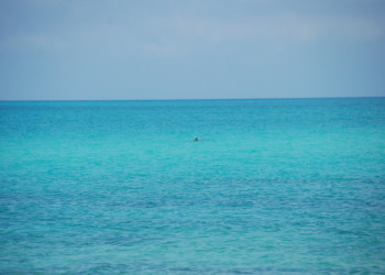 Море в Кайо-Лас-Брухас, Куба. Фото 8 – фотографии Кубы