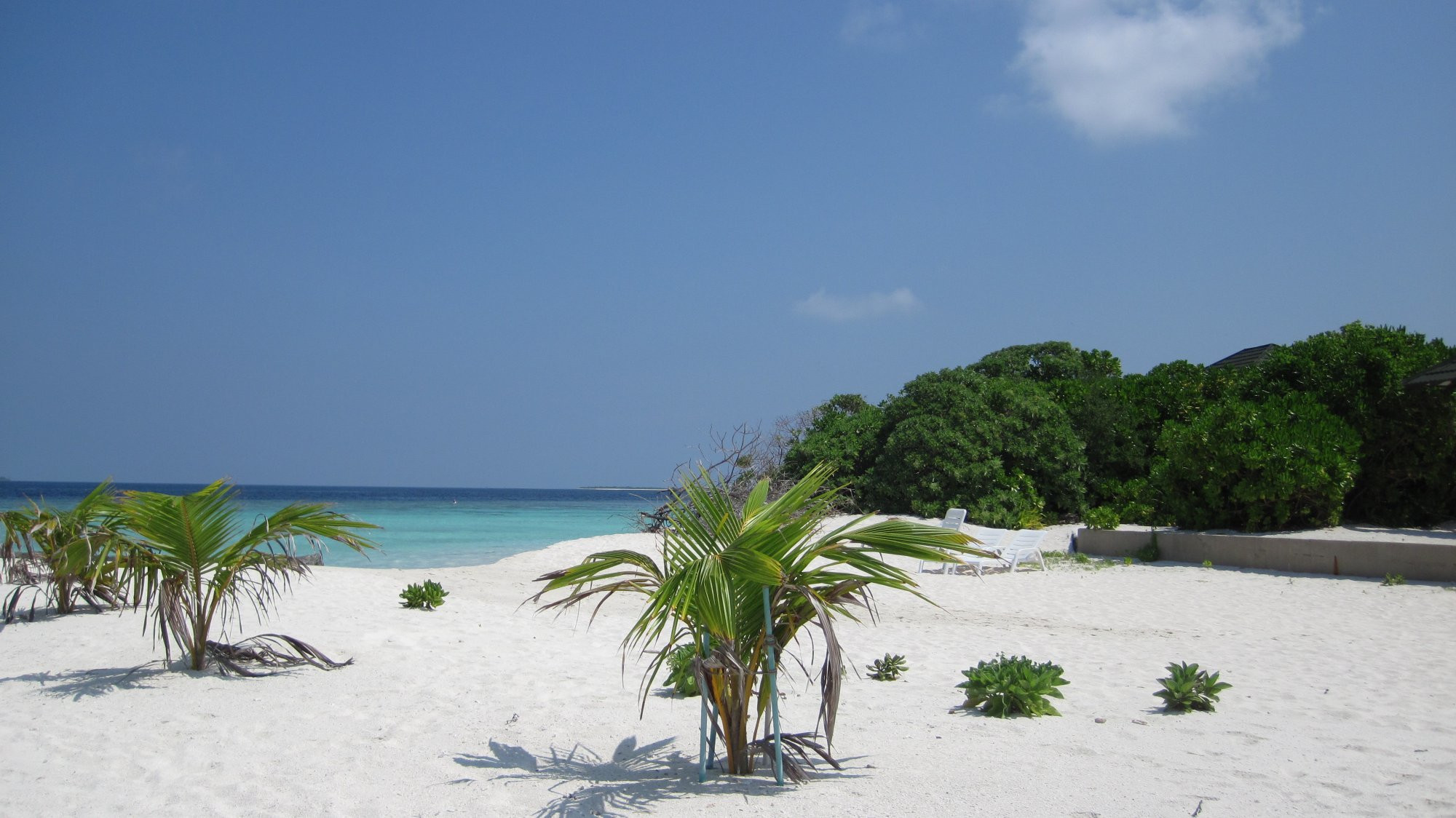 Пляж в Раа Атолл, Мальдивы. Фото 7 – фотографии Мальдивских островов