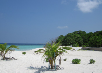 Пляж в Раа Атолл, Мальдивы. Фото 7 – фотографии Мальдивских островов