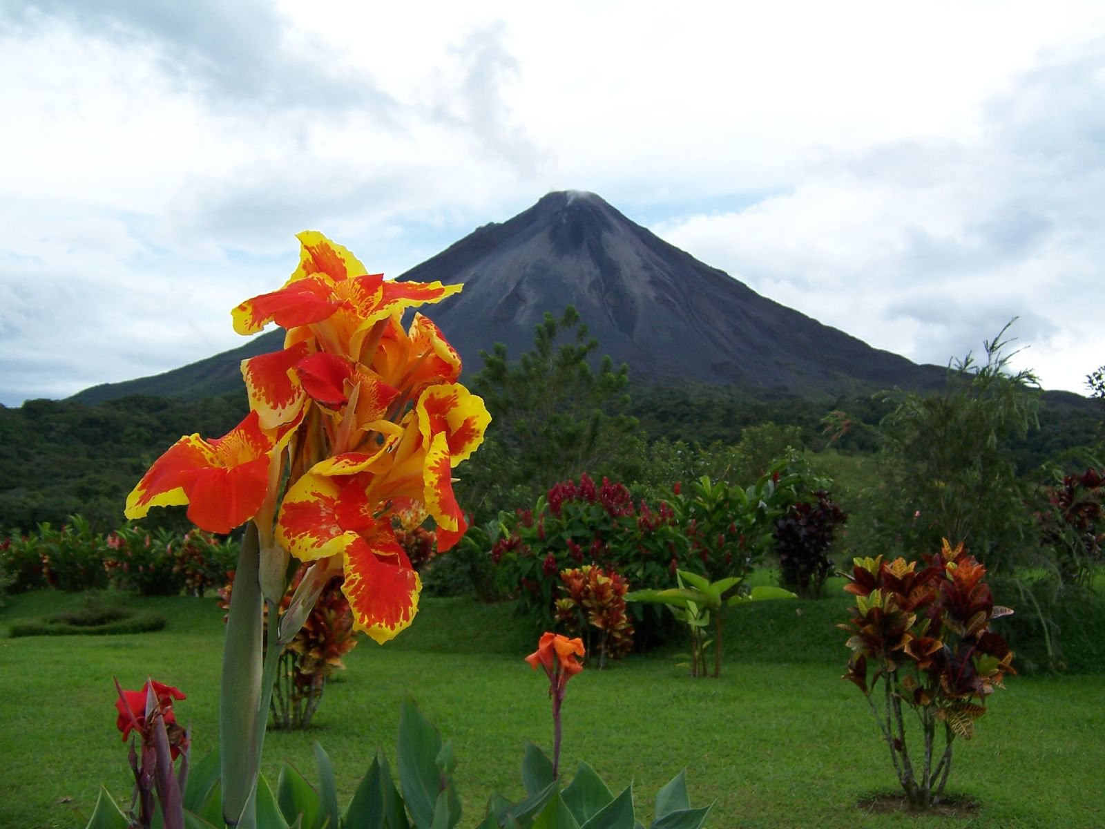 Ареналь Вулкано Национальный Парк, Алахуэла провинция, Коста-Рика, фото № 38909 – фотографии Коста-Рики