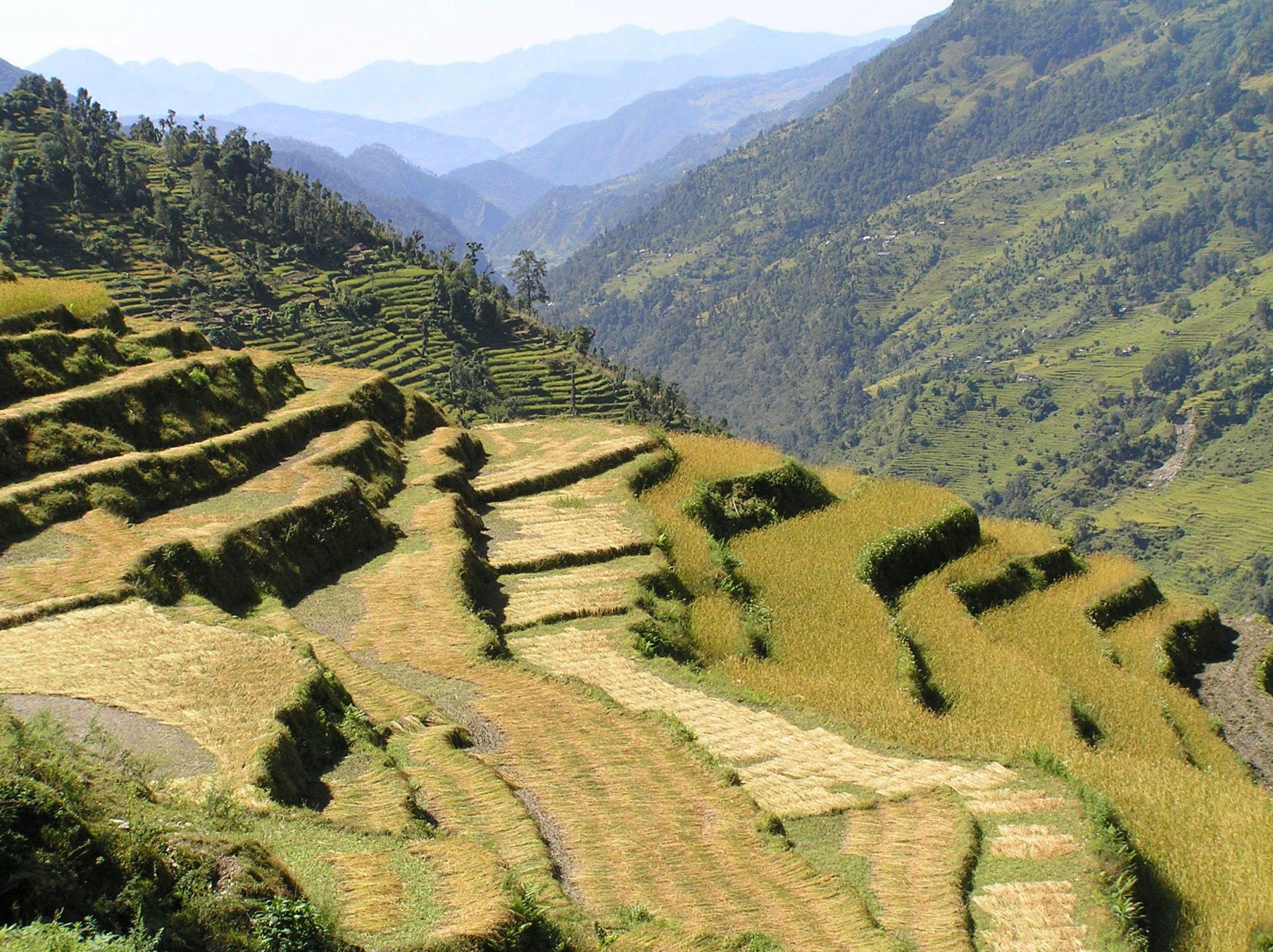 Аннапурна заповедник, Непал, фото № 78881 – фотографии Непала