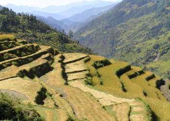 Аннапурна заповедник, Непал, фото № 78881 – фотографии Непала