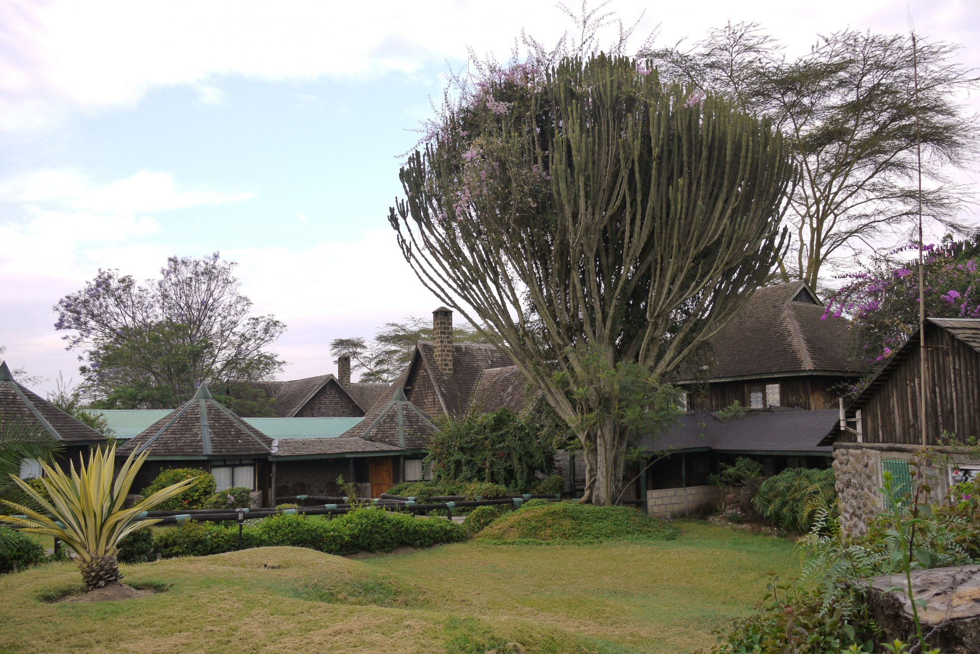 Лодж – фотографии Кении