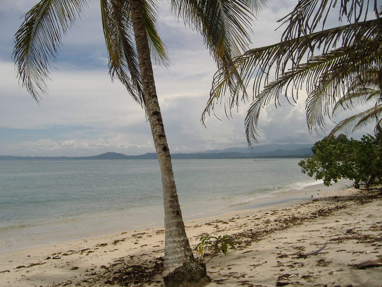 Кауита Национальный Парк, Лимон провинция, Коста-Рика, фото № 40086 – фотографии Коста-Рики