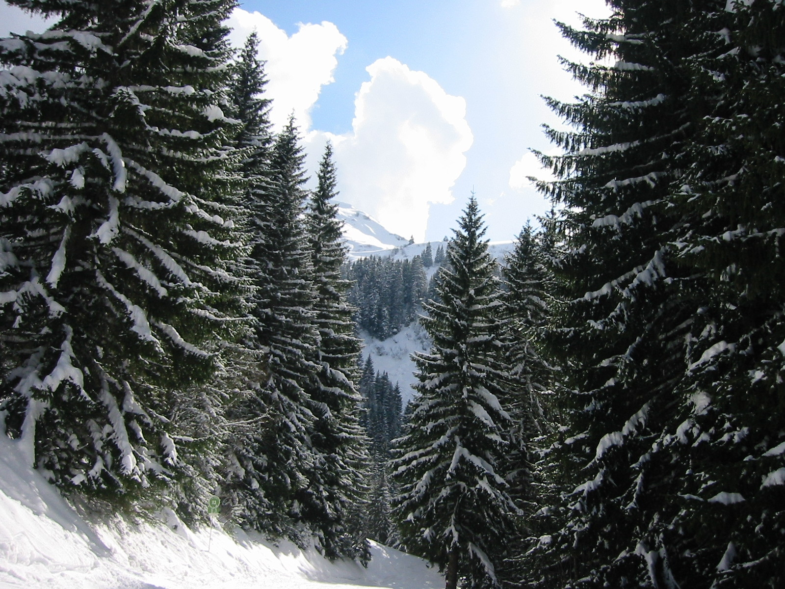 Природа в Шателе, Франция. Фото 4 – фотографии Франции