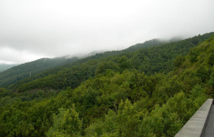 Брения-Баха, Ла-Пальма остров, Канарские острова, фото № 31867 – фотографии Канарских островов