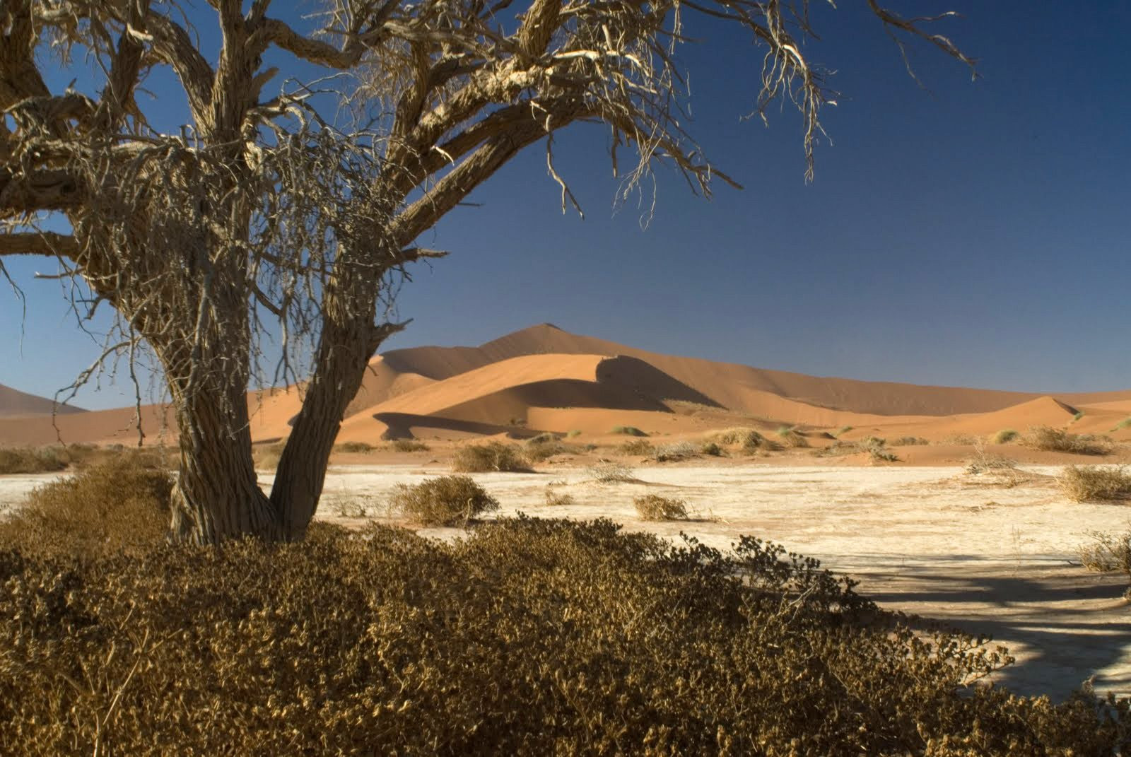 Намибия, фото № 5717 – фотографии Намибии