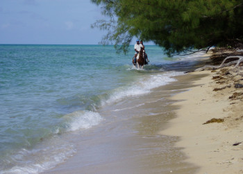 Море в Нью-Провиденс, Багамские острова. Фото 17 – фотографии Багамских островов