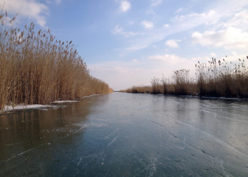 Зимние виды национального парка Нойзидлерзе-Зевинкель – фотографии Австрии