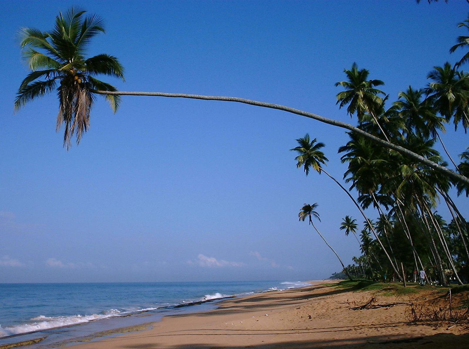 Коcгода, Шри-Ланка, фото № 51504 – фотографии Шри-Ланки
