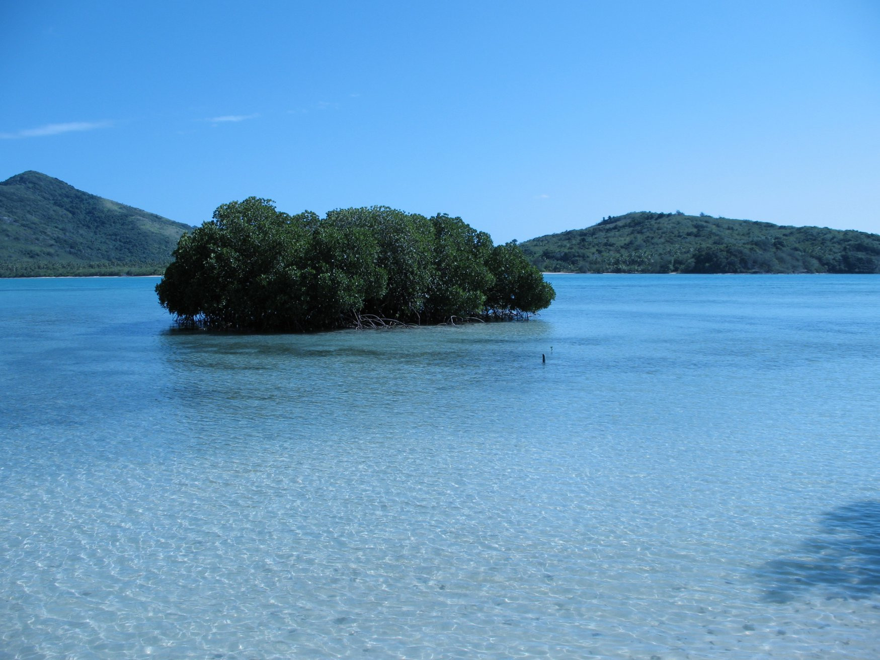 Фиджи, фото № 1085 – фотографии Фиджи