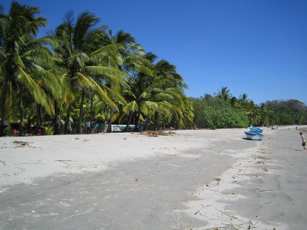 Самара, Гуанакасте провинция, Коста-Рика, фото № 39934 – фотографии Коста-Рики