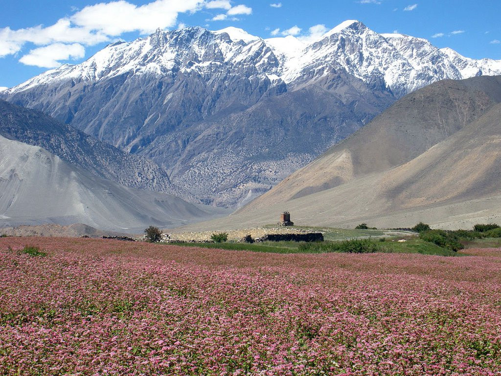 Аннапурна заповедник, Непал, фото № 78891 – фотографии Непала