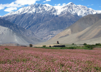 Аннапурна заповедник, Непал, фото № 78891 – фотографии Непала