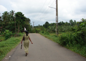 Ваддува, Шри-Ланка, фото № 50780 – фотографии Шри-Ланки