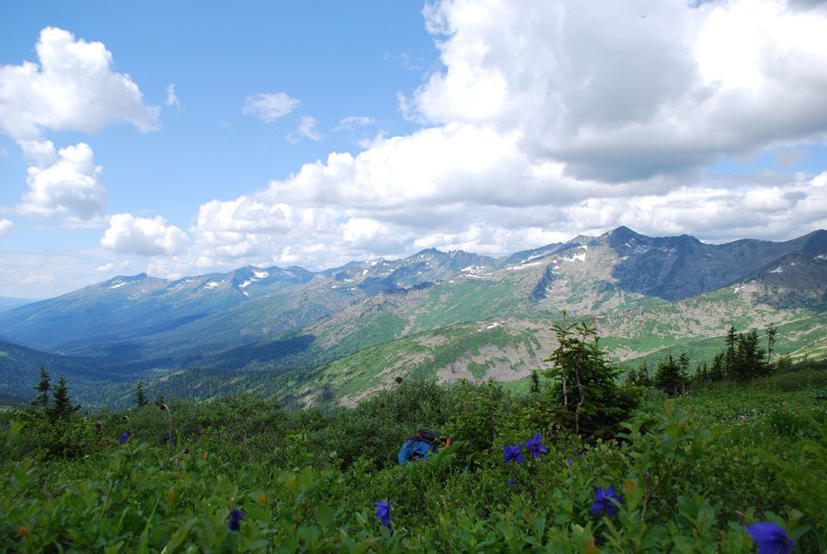 Природа в Поднебесные Зубья, Россия. Фото 11 – фотографии России