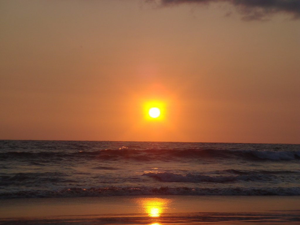 Хиккадува, Шри-Ланка, фото № 52544 – фотографии Шри-Ланки