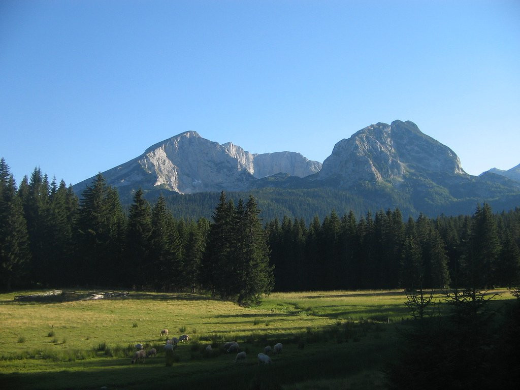 Природа в Дурмитор, Черногория. Фото 37 – фотографии Черногории