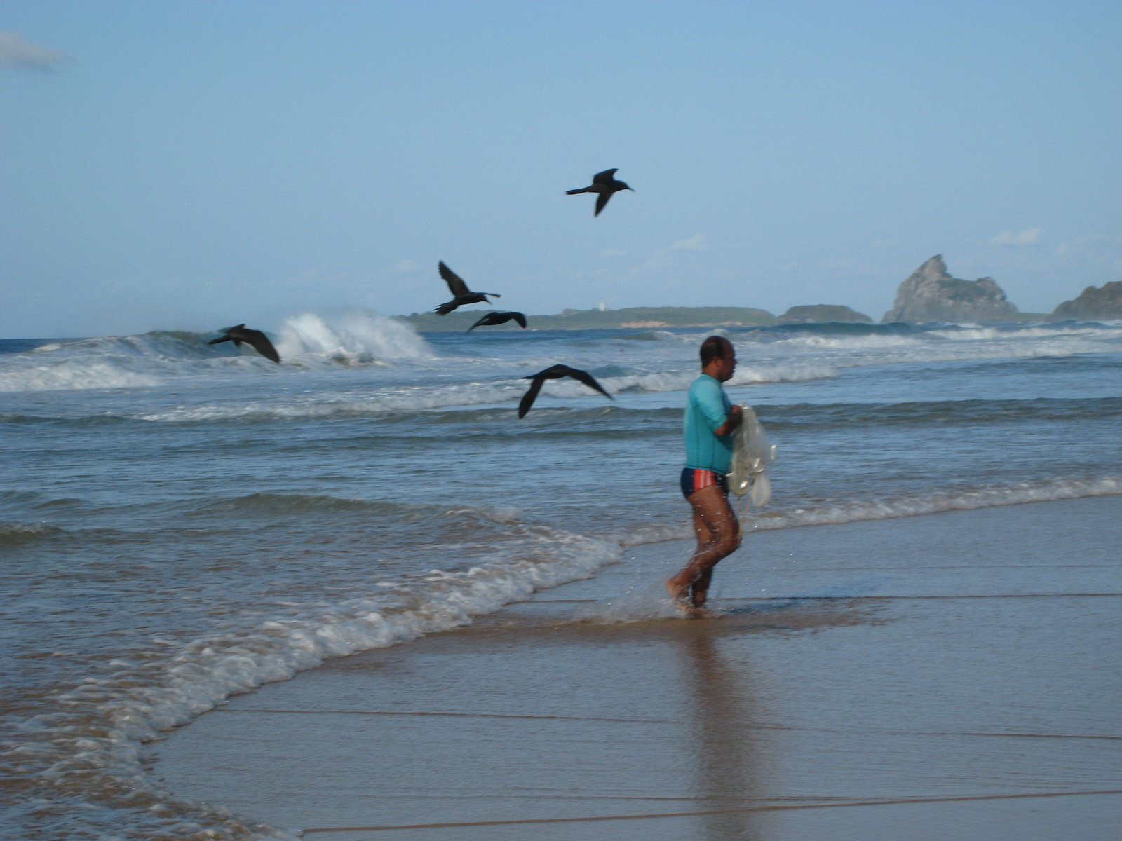 Фернанду-ди-Норонья, Бразилия, фото № 60463 – фотографии Бразилии