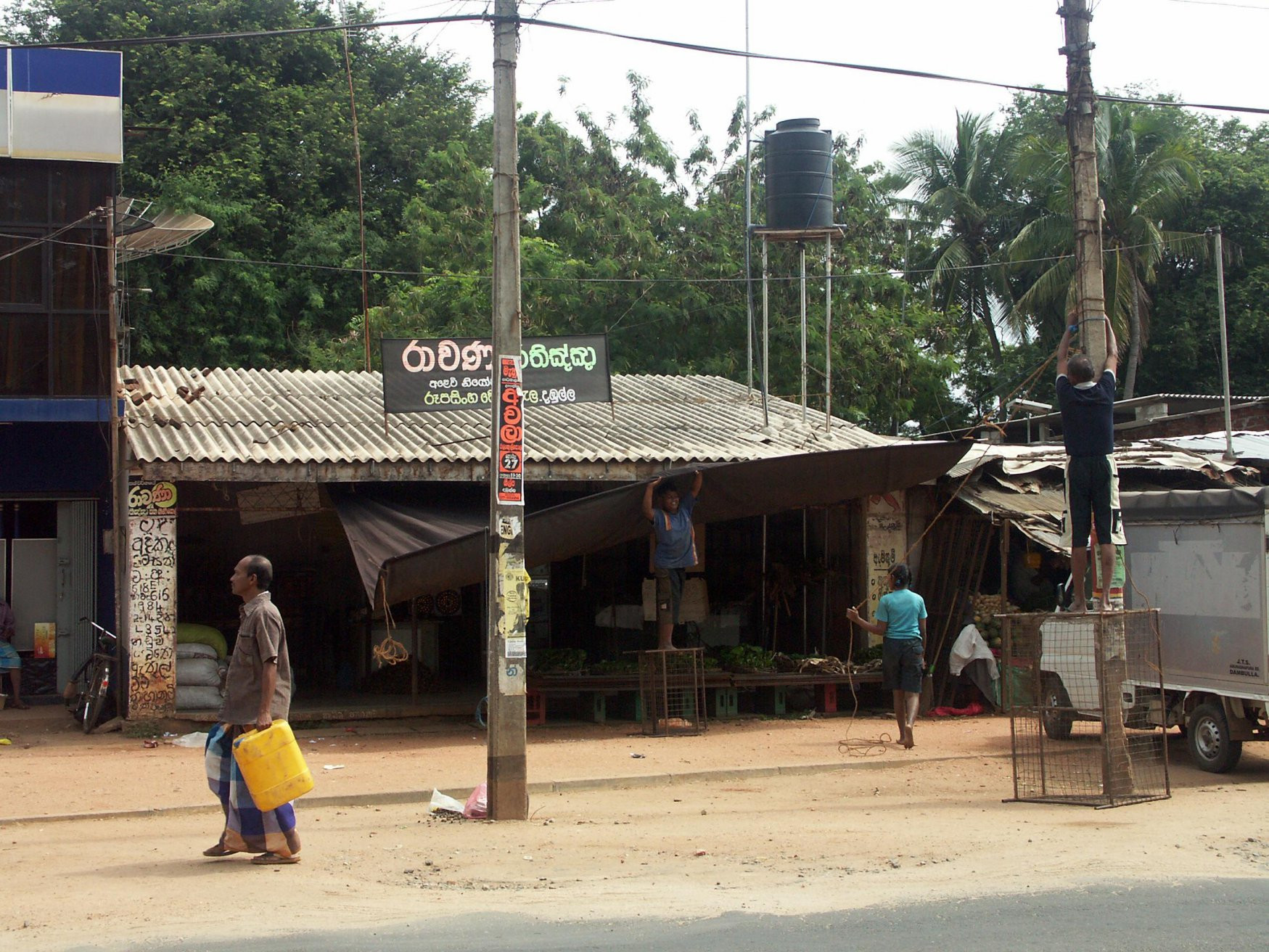 Дамбулла, Шри-Ланка, фото № 51076 – фотографии Шри-Ланки