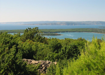 Природа в Пунате, Хорватия – фотографии Хорватии