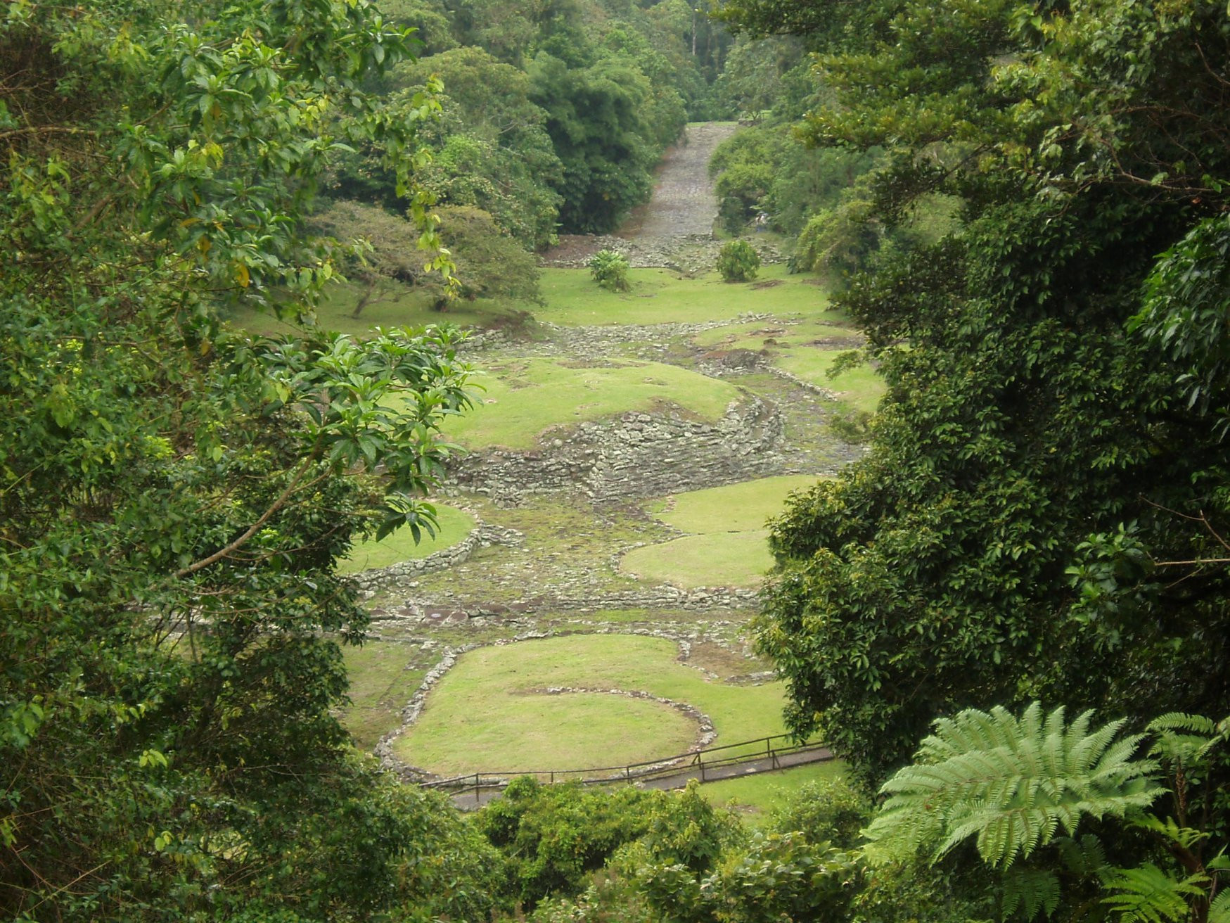 Гуаябо, Картаго провинция, Коста-Рика, фото № 39164 – фотографии Коста-Рики