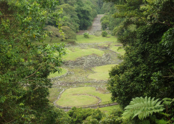 Гуаябо, Картаго провинция, Коста-Рика, фото № 39164 – фотографии Коста-Рики