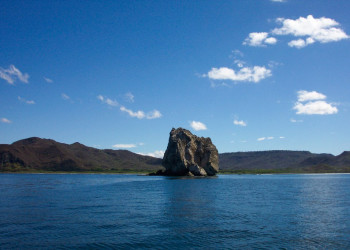 Санта Роза Национальный Парк, Гуанакасте провинция, Коста-Рика, фото № 39351 – фотографии Коста-Рики