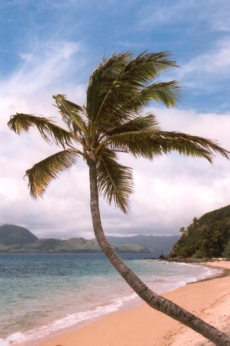 Оно остров, Кадаву группа островов, Фиджи, фото № 48602 – фотографии Фиджи