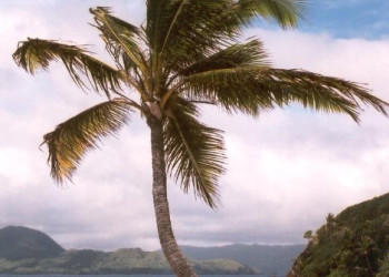 Оно остров, Кадаву группа островов, Фиджи, фото № 48602 – фотографии Фиджи