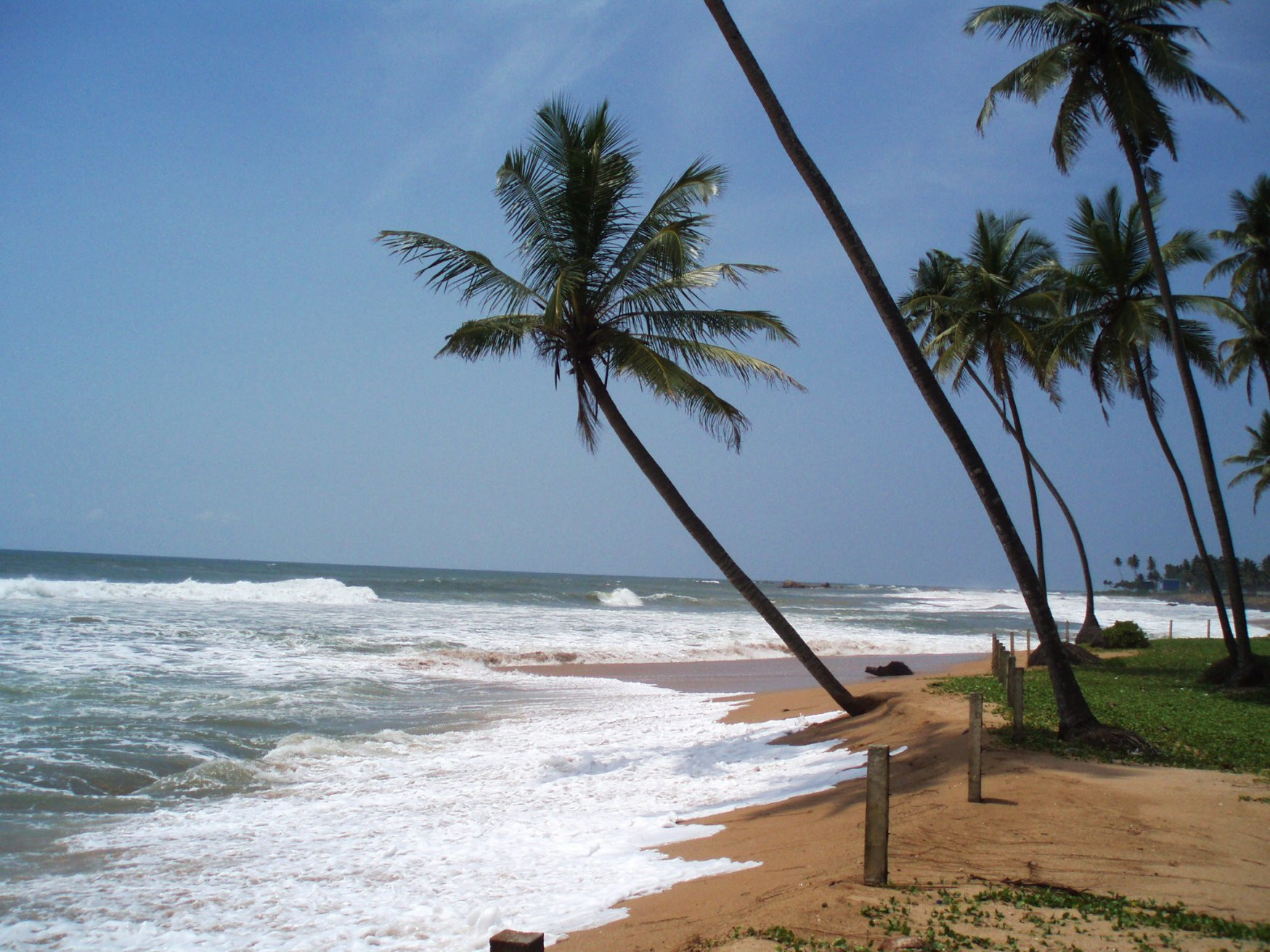 Шри-Ланка, фото № 1170 – фотографии Шри-Ланки