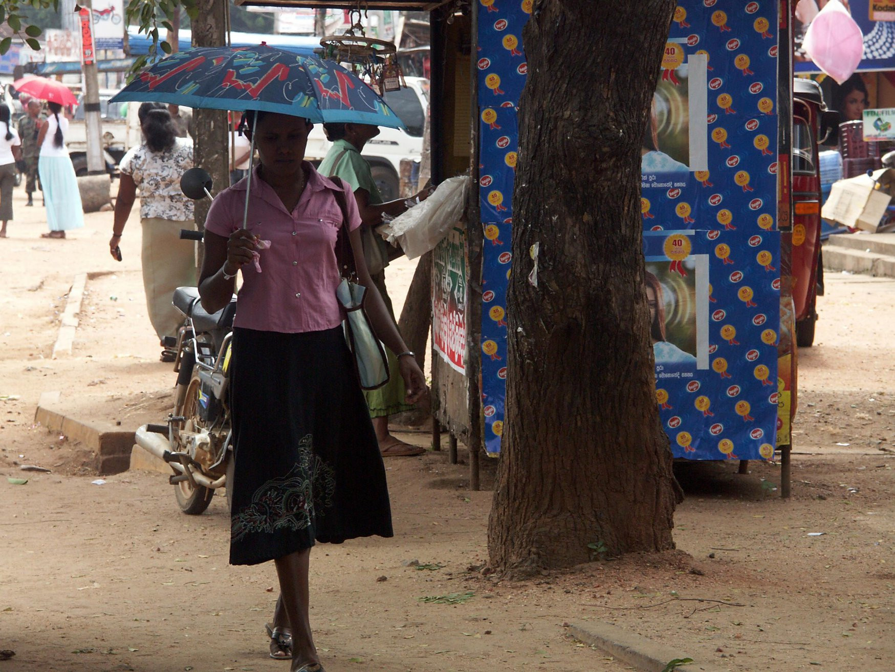 Дамбулла, Шри-Ланка, фото № 51080 – фотографии Шри-Ланки