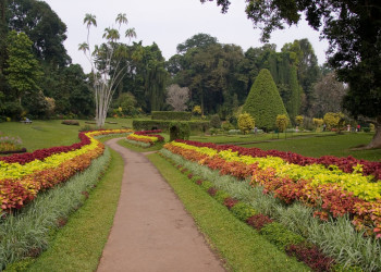 Канди, Шри-Ланка, фото № 51363 – фотографии Шри-Ланки