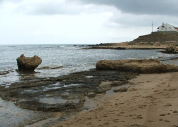 Паралимни, Кипр, фото № 38414 – фотографии Кипра