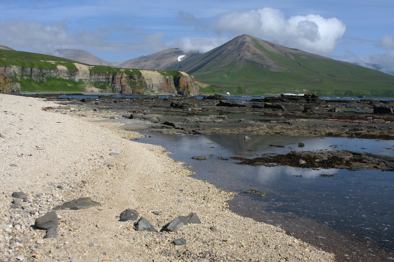 Командорские острова, Россия. Фото 8 – фотографии России