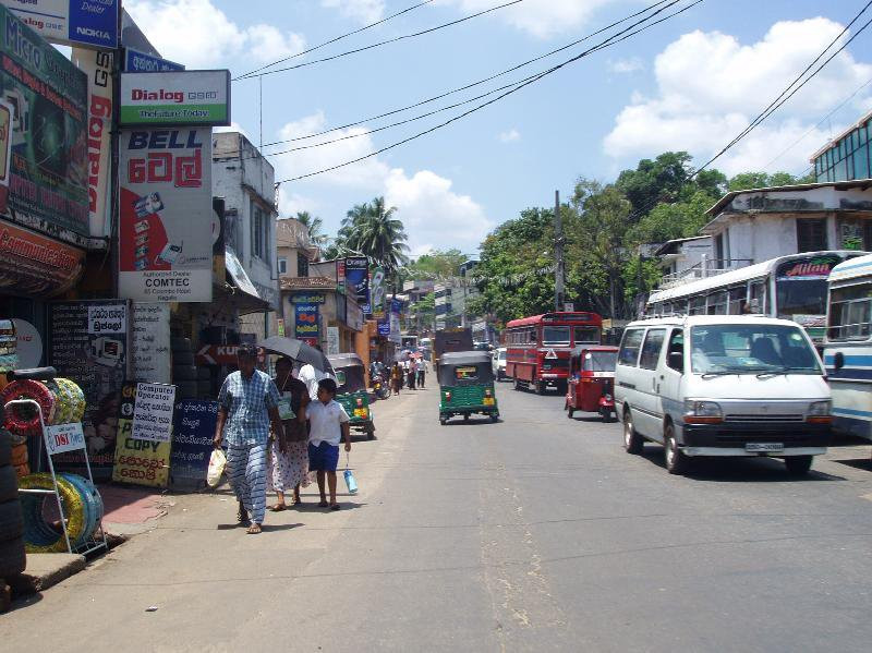 Шри-Ланка, фото № 1183 – фотографии Шри-Ланки