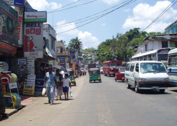 Шри-Ланка, фото № 1183 – фотографии Шри-Ланки