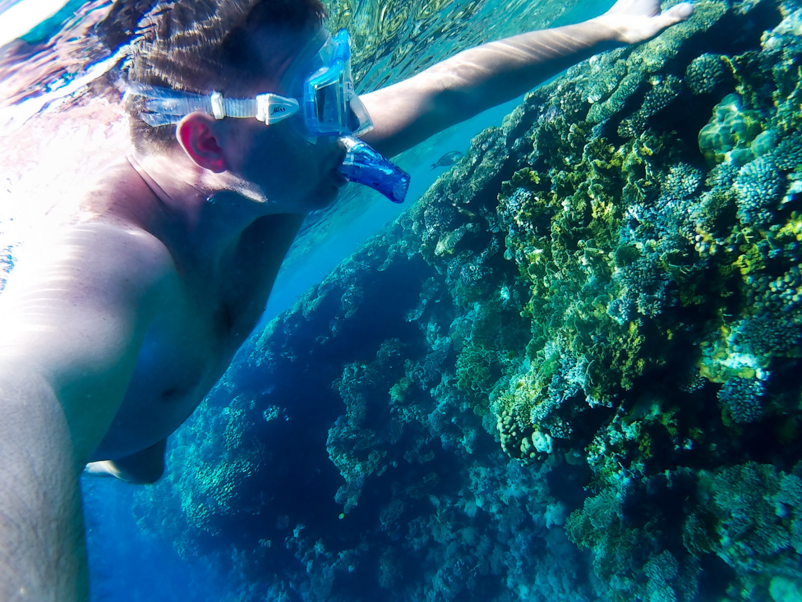 ДАЙВИНГ – фотографии Египта