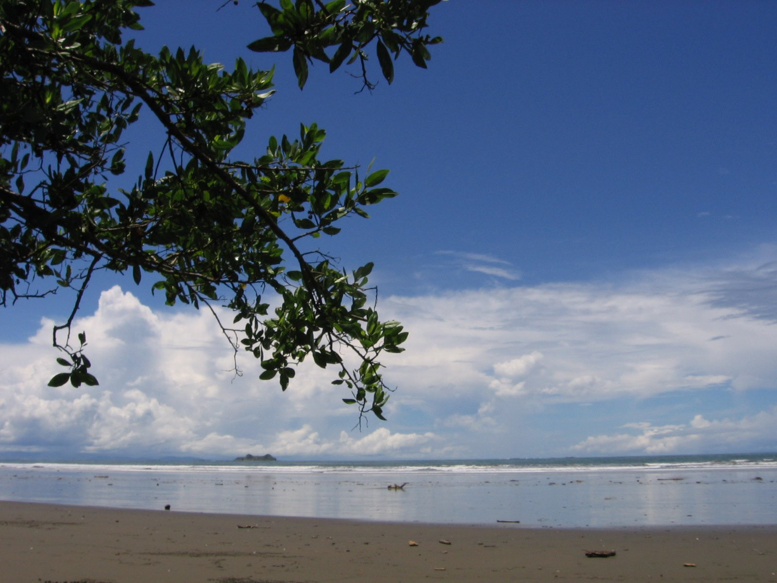 Плайя Увита, Пунтаренас провинция, Коста-Рика, фото № 40963 – фотографии Коста-Рики